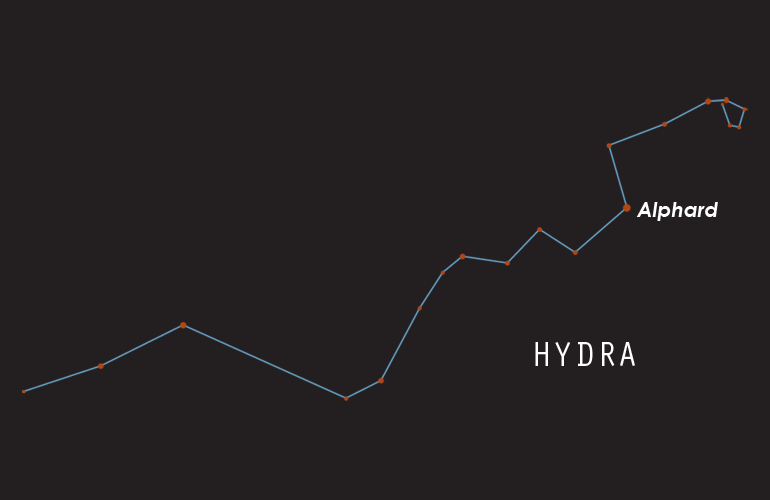 Hydra