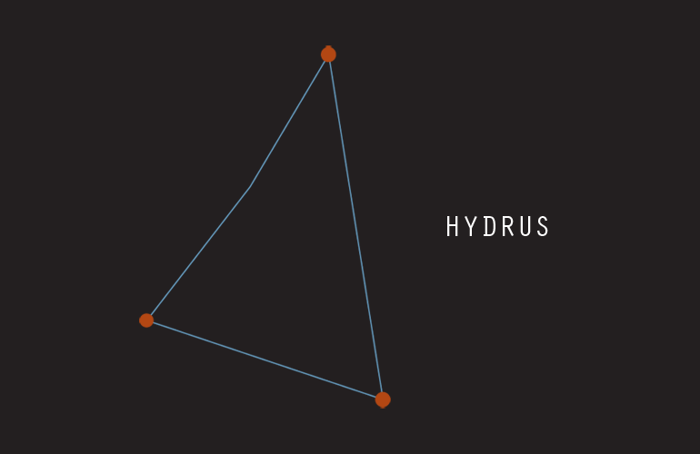 Hydrus