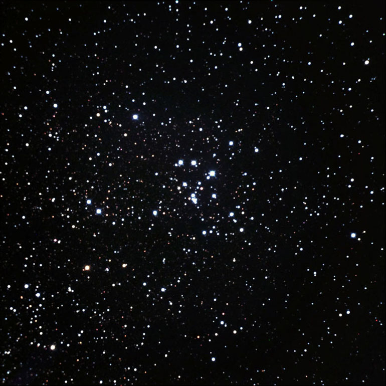 M18 - Black Swan