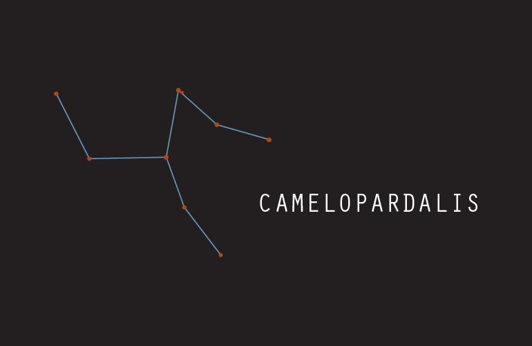 Camelopardalis