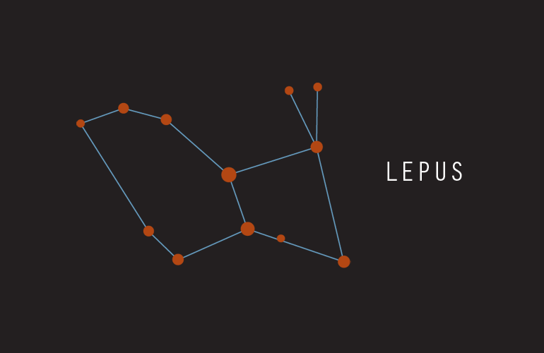 Lepus
