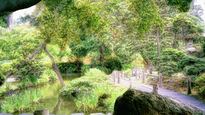 Japanese Tea Gardens